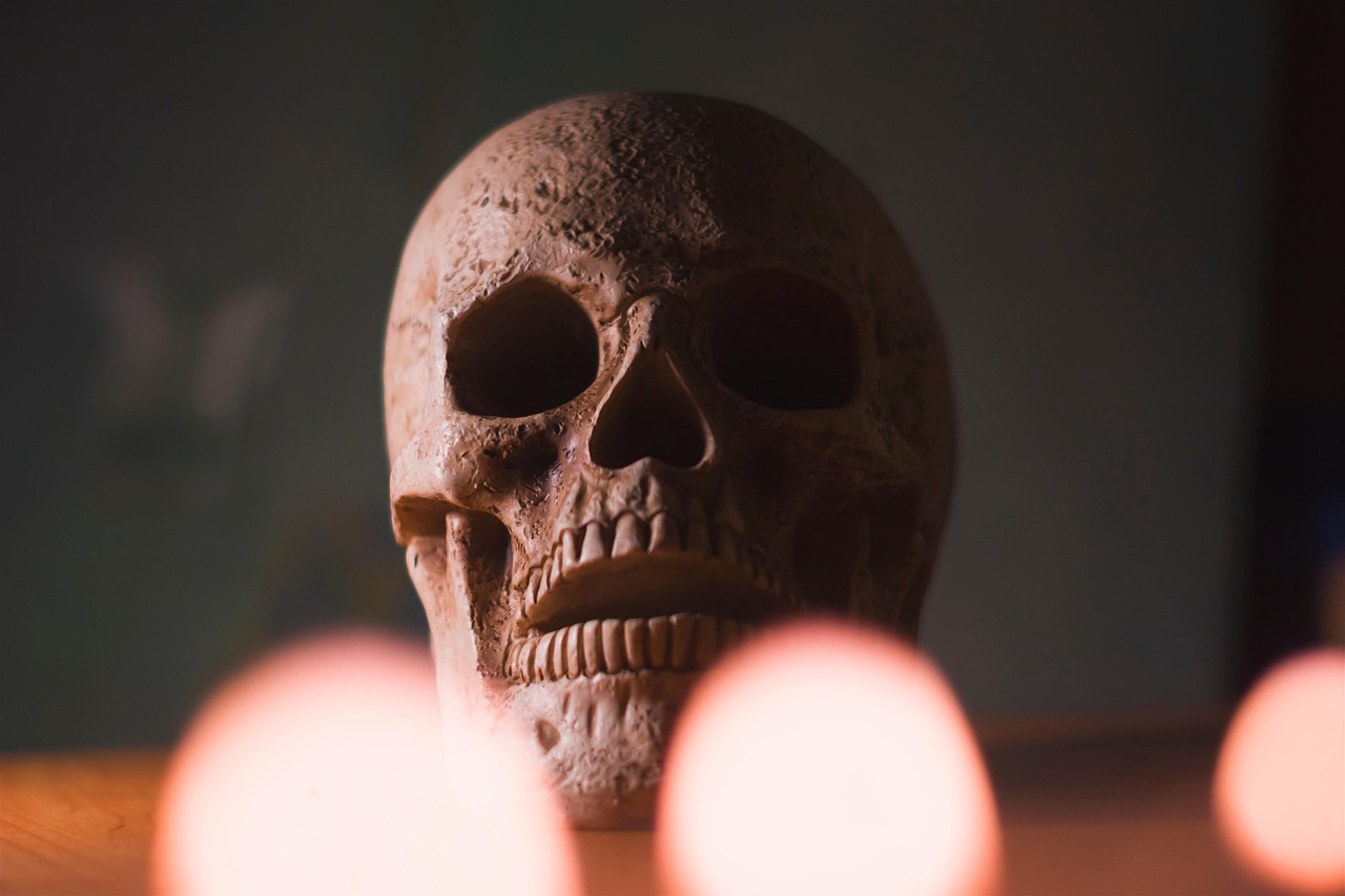 Dental Implants and Bone Grafting: What You Need to Know And Understand
