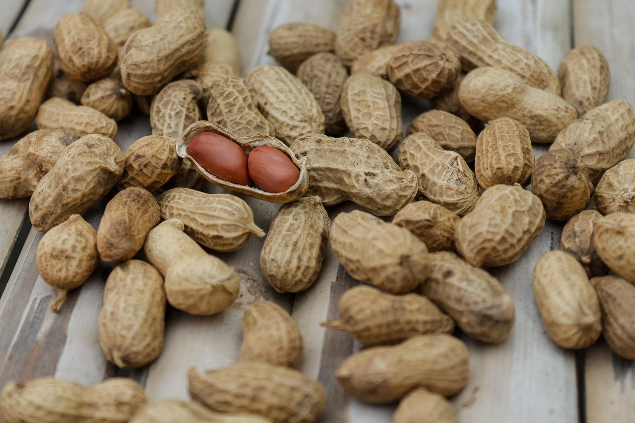 How to maintain focus on your diet routine