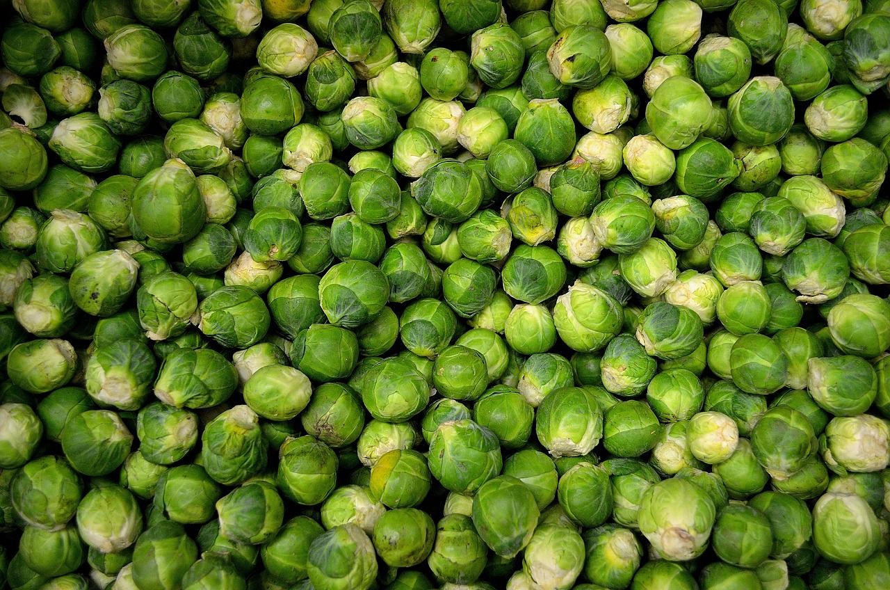 Benefits Of A Vegan Diet