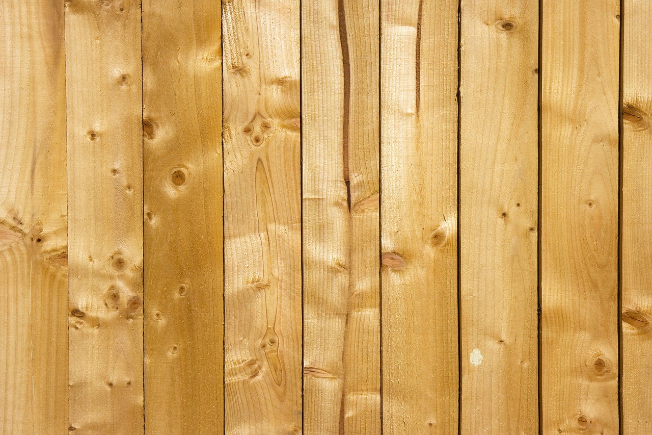 Different Types of Veneers in Springfield, VA