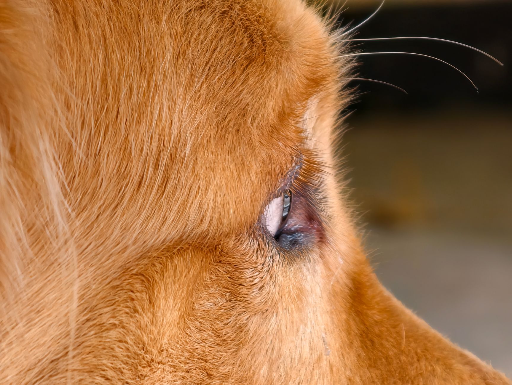 Types of Allergies: A detailed exploration