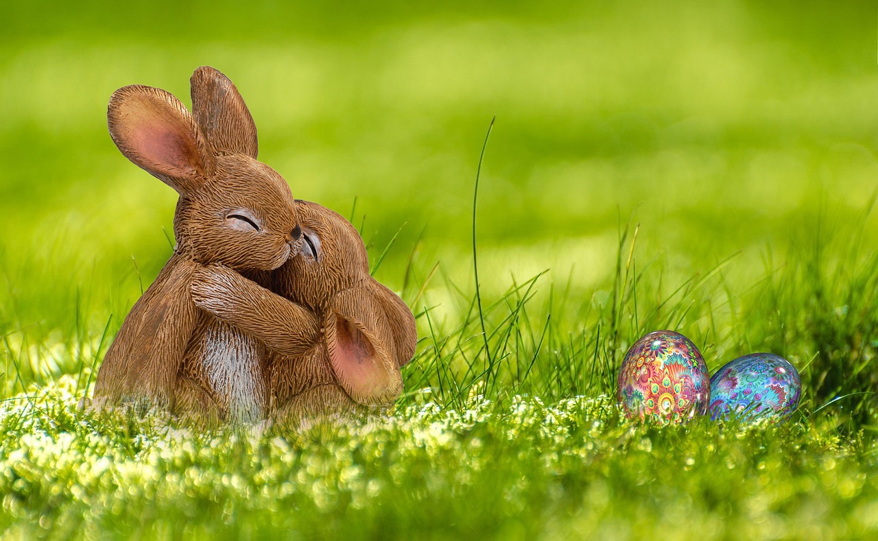 Reasons Why You Can Consider Donating Eggs