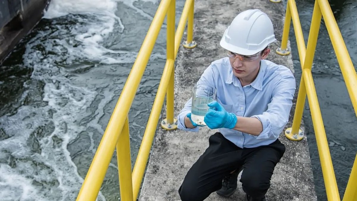 DNA in Wastewater Reveals Community Dietary Habits - food dna wastewater