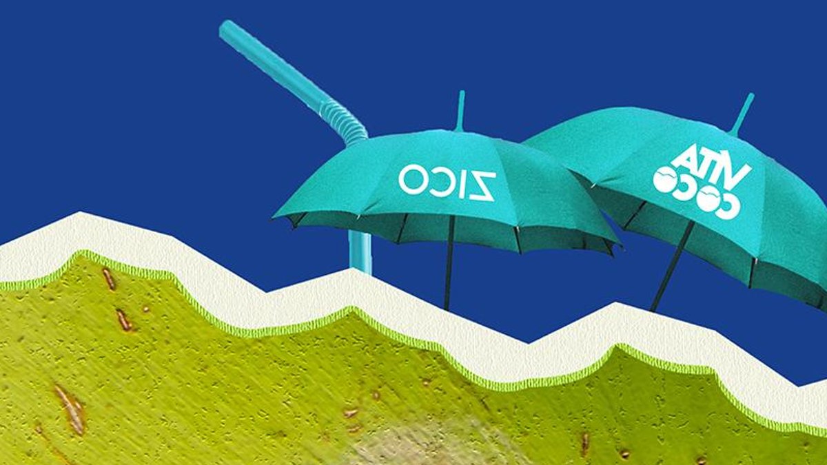 Coconut Water Makes a Surprising Comeback Bid - coconut water