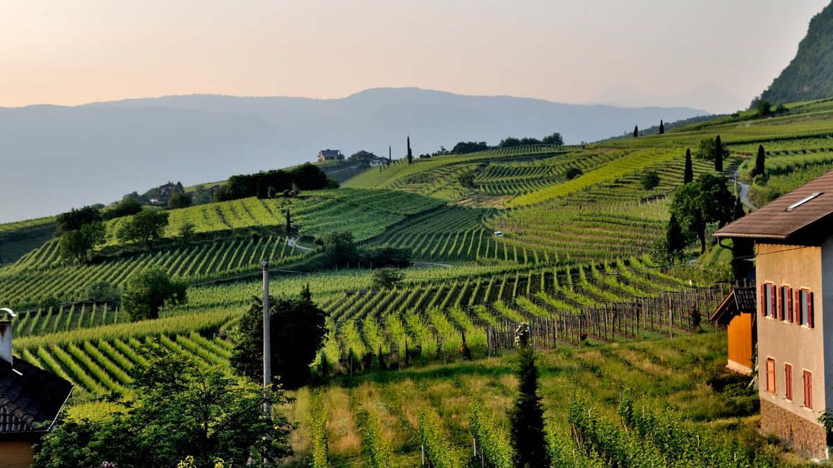 Luxury living found in budget wine regions