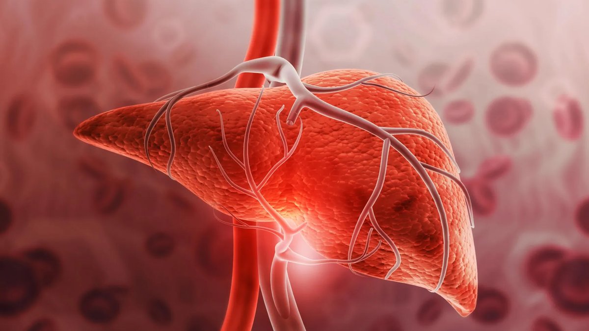 Weight-loss hormone could shield liver regardless of weight - weight loss hormone