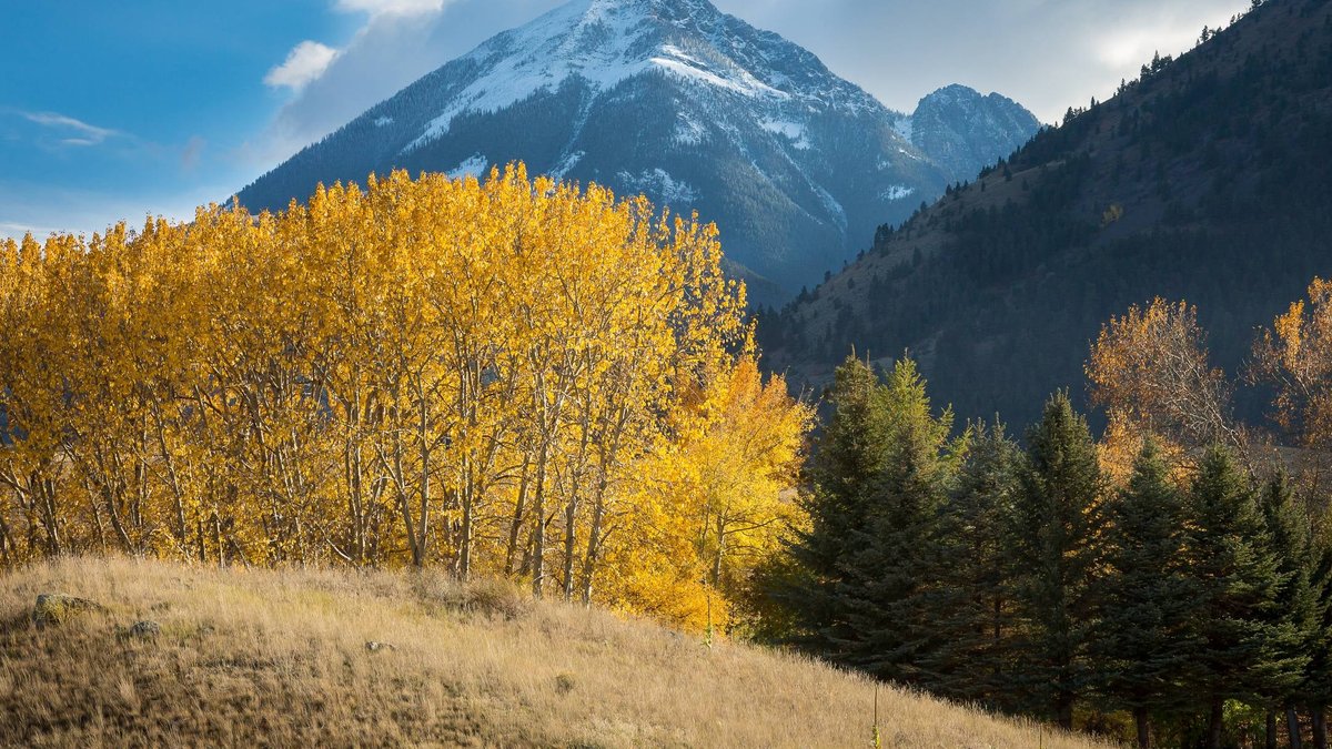 Montana’s first food and wine festival arrives - food wine festival