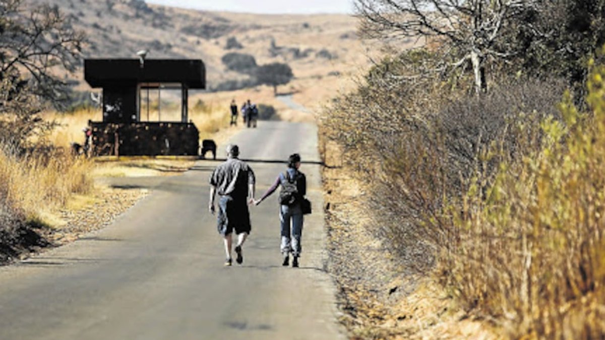 Gauteng opens biggest nature reserve to private operators Gauteng opens biggest nature reserve to private operators - nature reserve