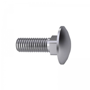 DIN 603 Carriage Bolt/ Mushroom Head Bolt - Kuwait