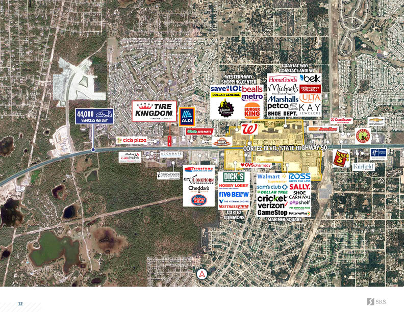 Brooksville FL - Tire Kingdom7.jpg