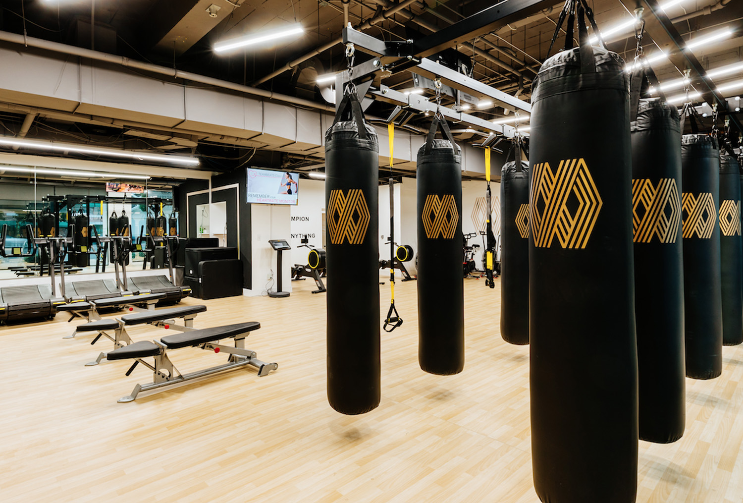 Mayweather Boxing & Fitness
