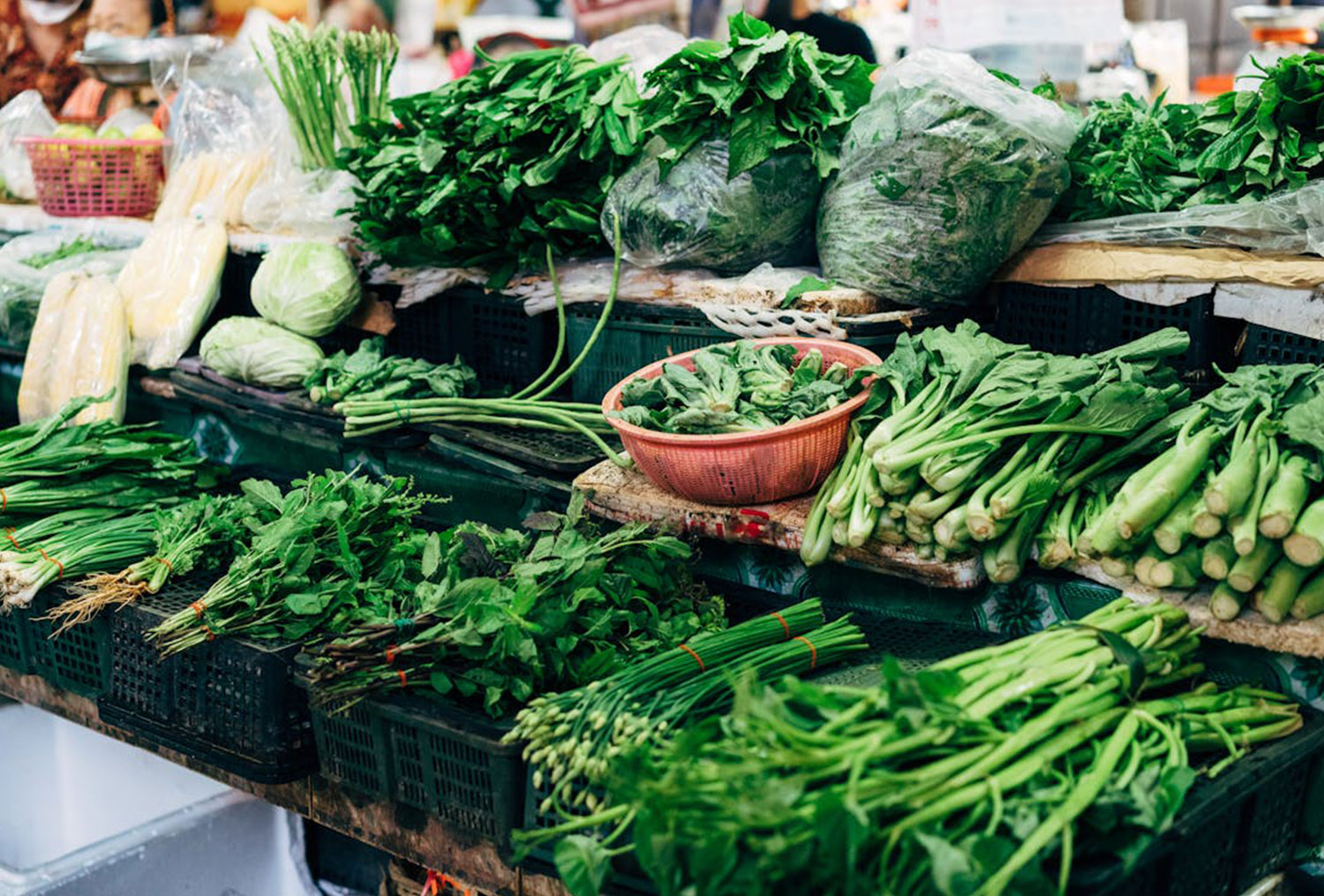 SD Produce