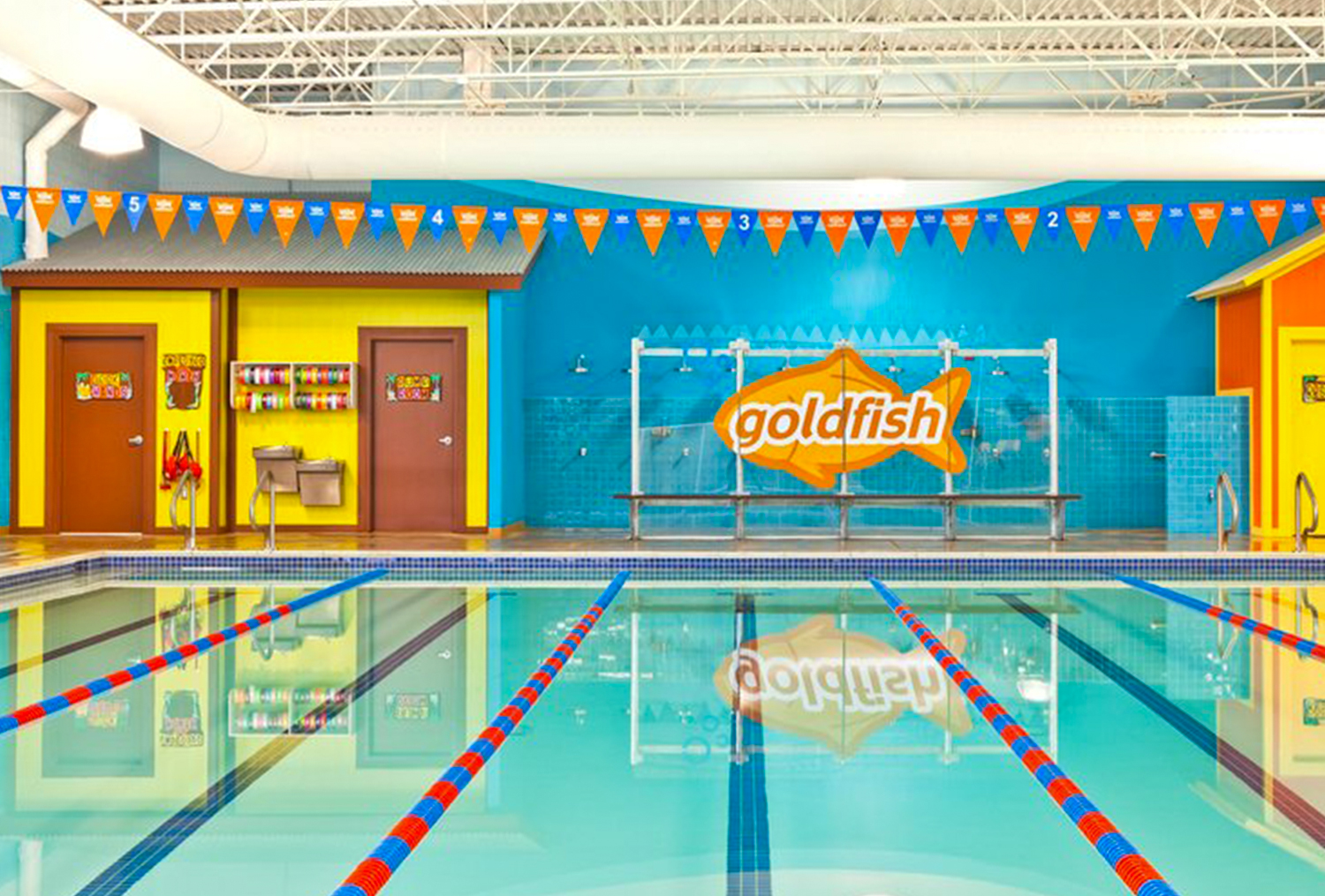 Goldfish Swim School