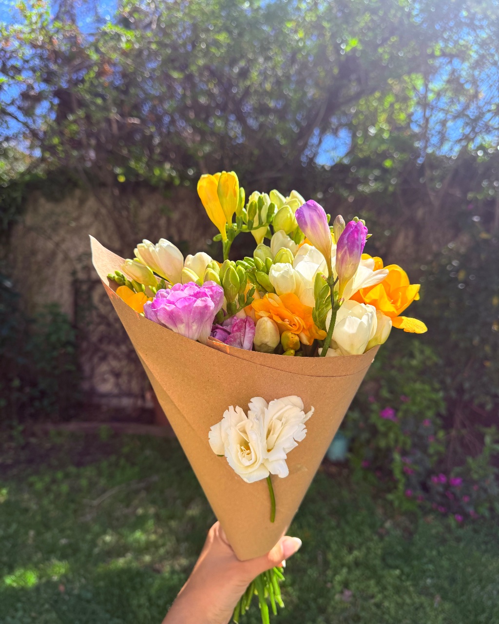 Ramo Fresias