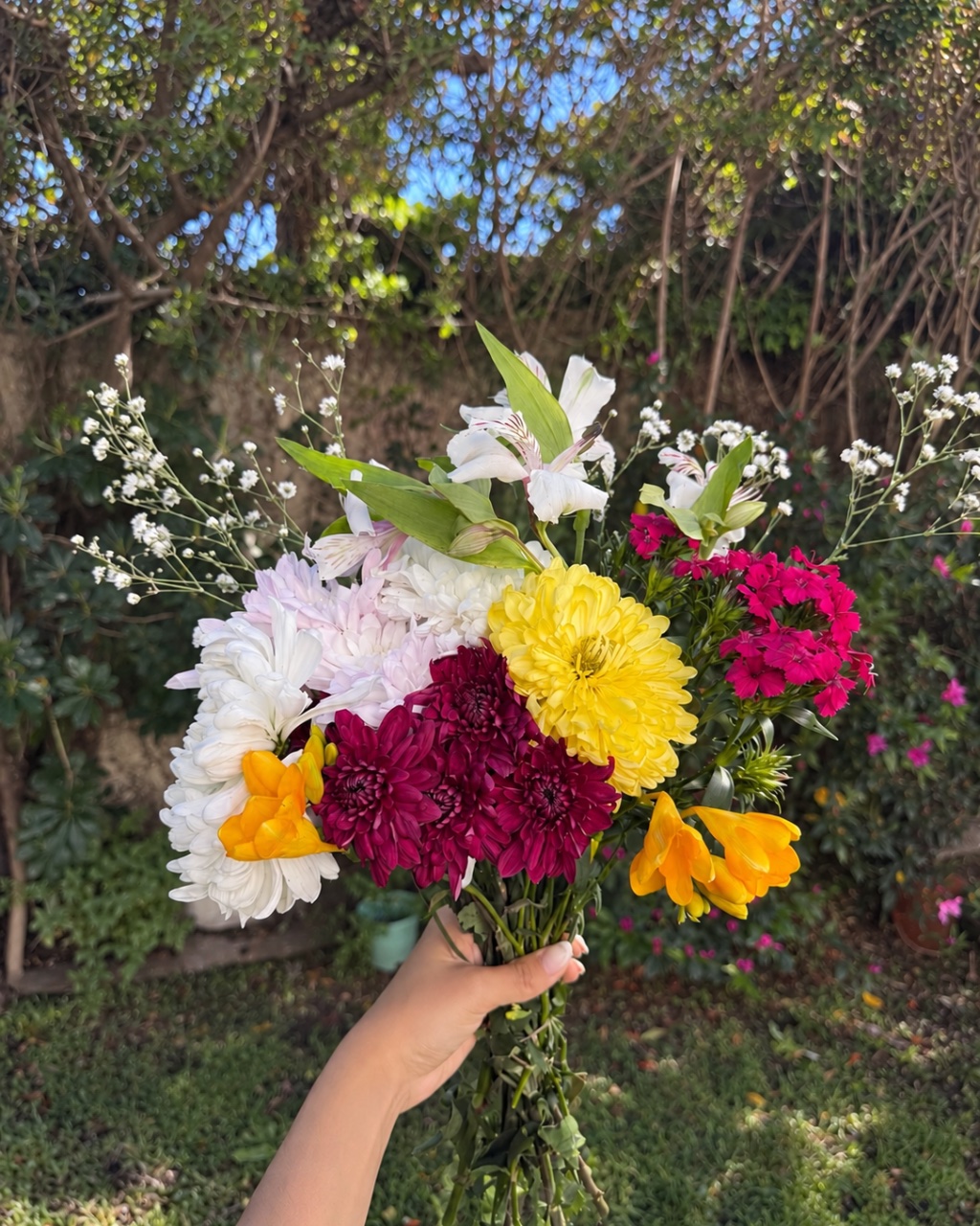 Ramo Primavera