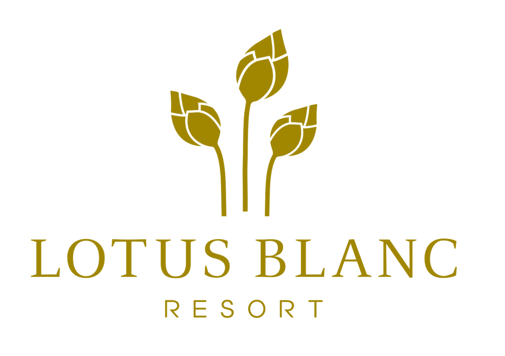Lotus Blanc