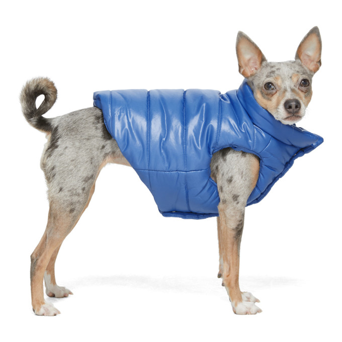 Moncler Genius Blue Poldo Dog Couture Edition Insulated Jacket In 707 Blue