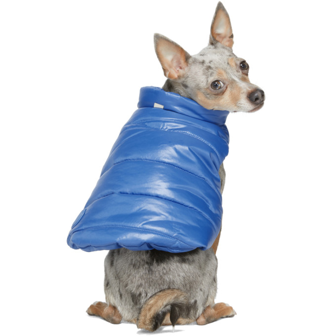 MONCLER GENIUS MONCLER GENIUS BLUE POLDO DOG COUTURE EDITION INSULATED JACKET