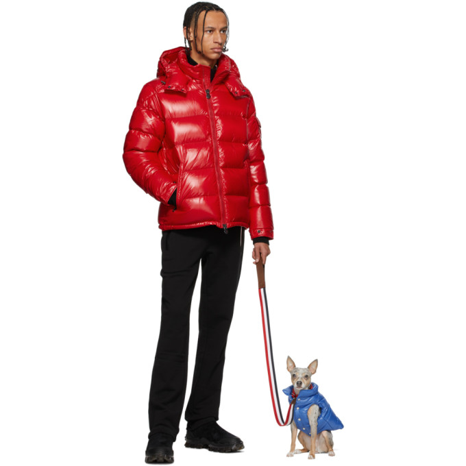MONCLER GENIUS MONCLER GENIUS BLUE POLDO DOG COUTURE EDITION INSULATED JACKET