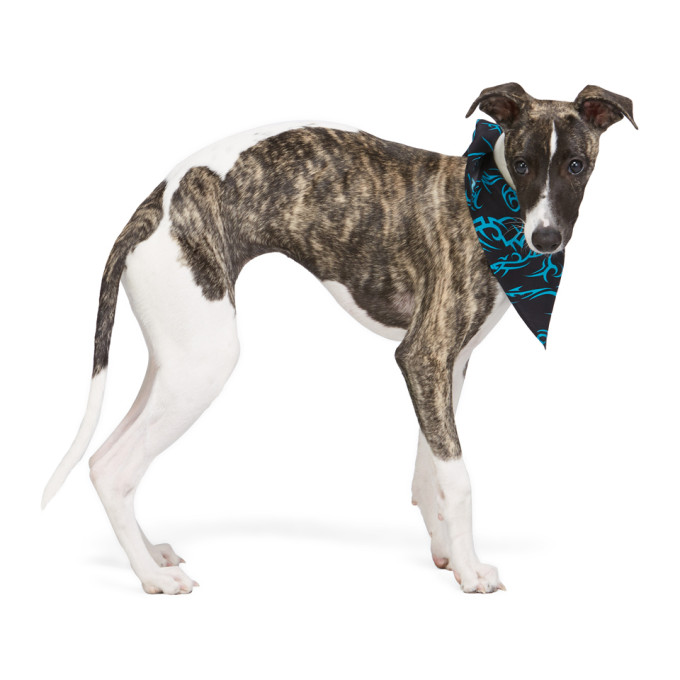 MISBHV MISBHV BLACK MONOGRAM BANDANA