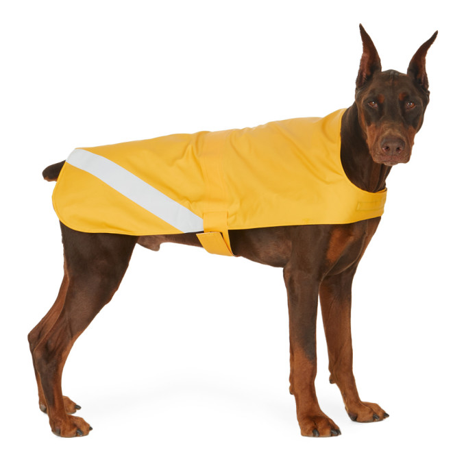 Shop Stutterheim Ssense Exclusive Yellow Lightweight Dog Raincoat