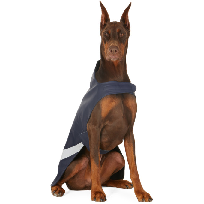 Stutterheim Ssense Exclusive Navy Lightweight Dog Raincoat