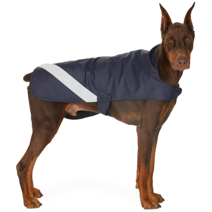 Shop Stutterheim Ssense Exclusive Navy Lightweight Dog Raincoat