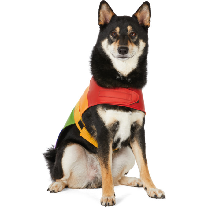 Stutterheim Multicolor Vladimir Dog Raincoat In 7042 Rnbw