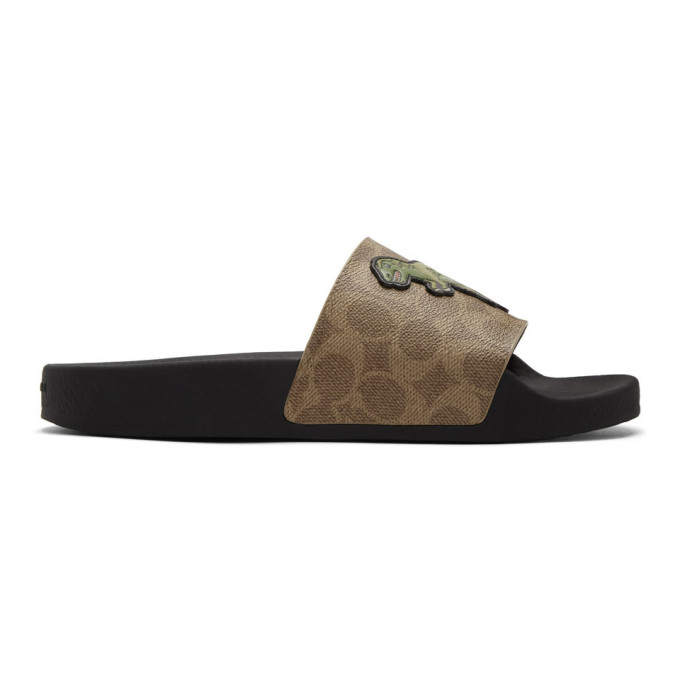 coach dinosaur slides