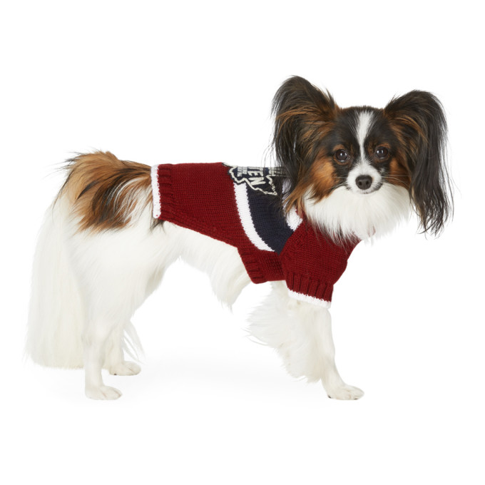 Dsquared2 Red Poldo Dog Couture Edition Small Quebec Sweater