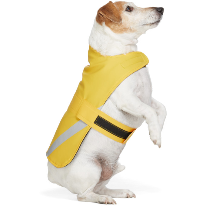 SSENSE 独家发售黄色 PVC 轻量宠物雨衣展示图