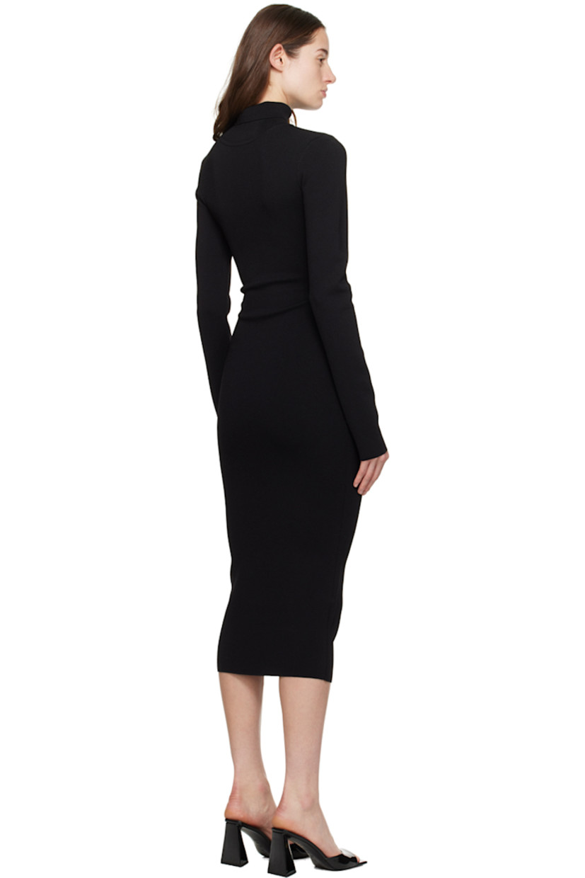 Knit rayon- and nylon-blend dress.

· Rib knit turtleneck
· Cutout at front

Supplier color: Black