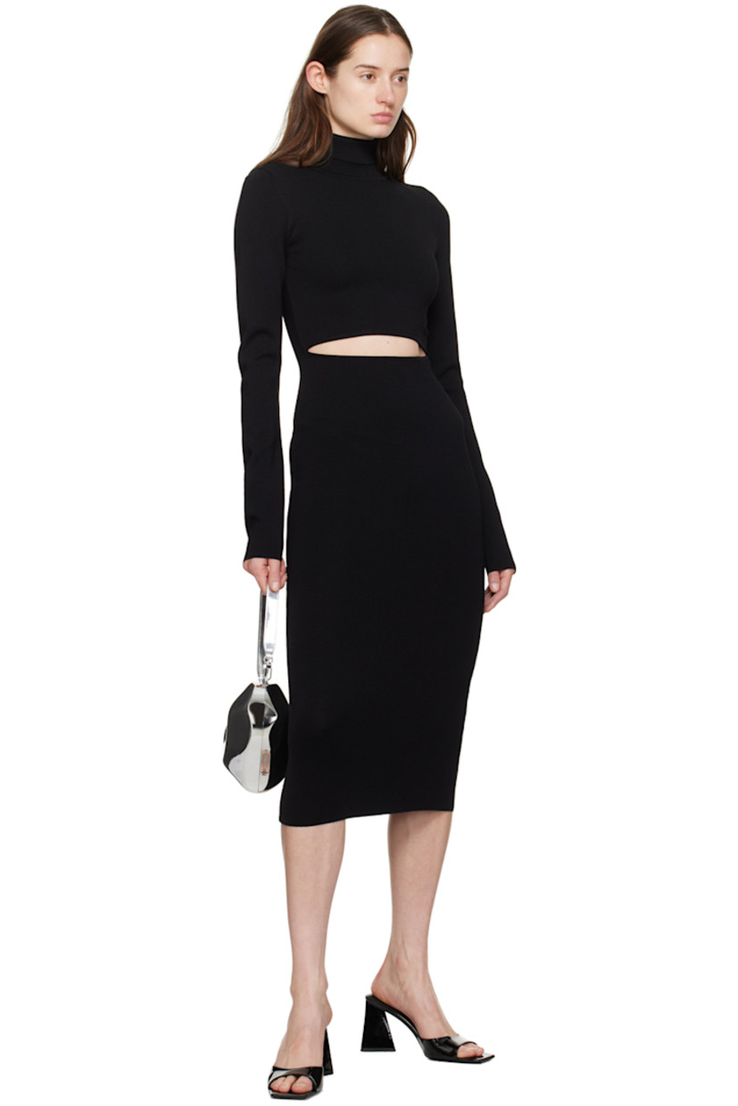 Knit rayon- and nylon-blend dress.

· Rib knit turtleneck
· Cutout at front

Supplier color: Black