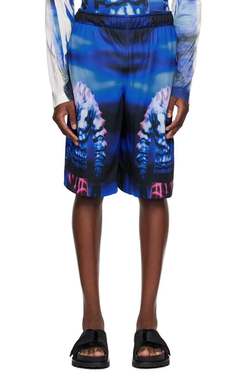 Polyester piqué shorts. Gradient effect printed throughout.

· Concealed drawstring at elasticized waistband
· Two-pocket styling
· Graphics printed at front
· Logo patch at back hem

Supplier color: Blue