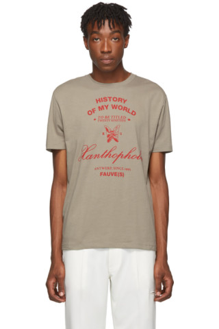 Raf Simons: Taupe Xanthrophobic Slim-Fit T-Shirt | SSENSE