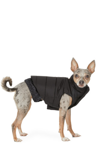 warmest dog jacket