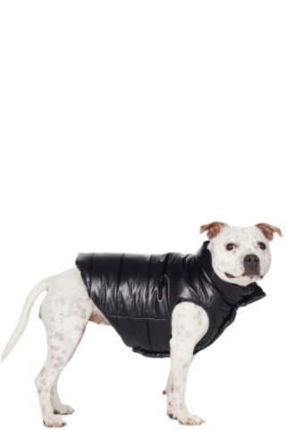 Black Padded Dog Carrier - Moncler Poldo Dog Couture for Special