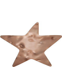 SSENSE Exclusive Brown Star Hair Clip - MERRMA