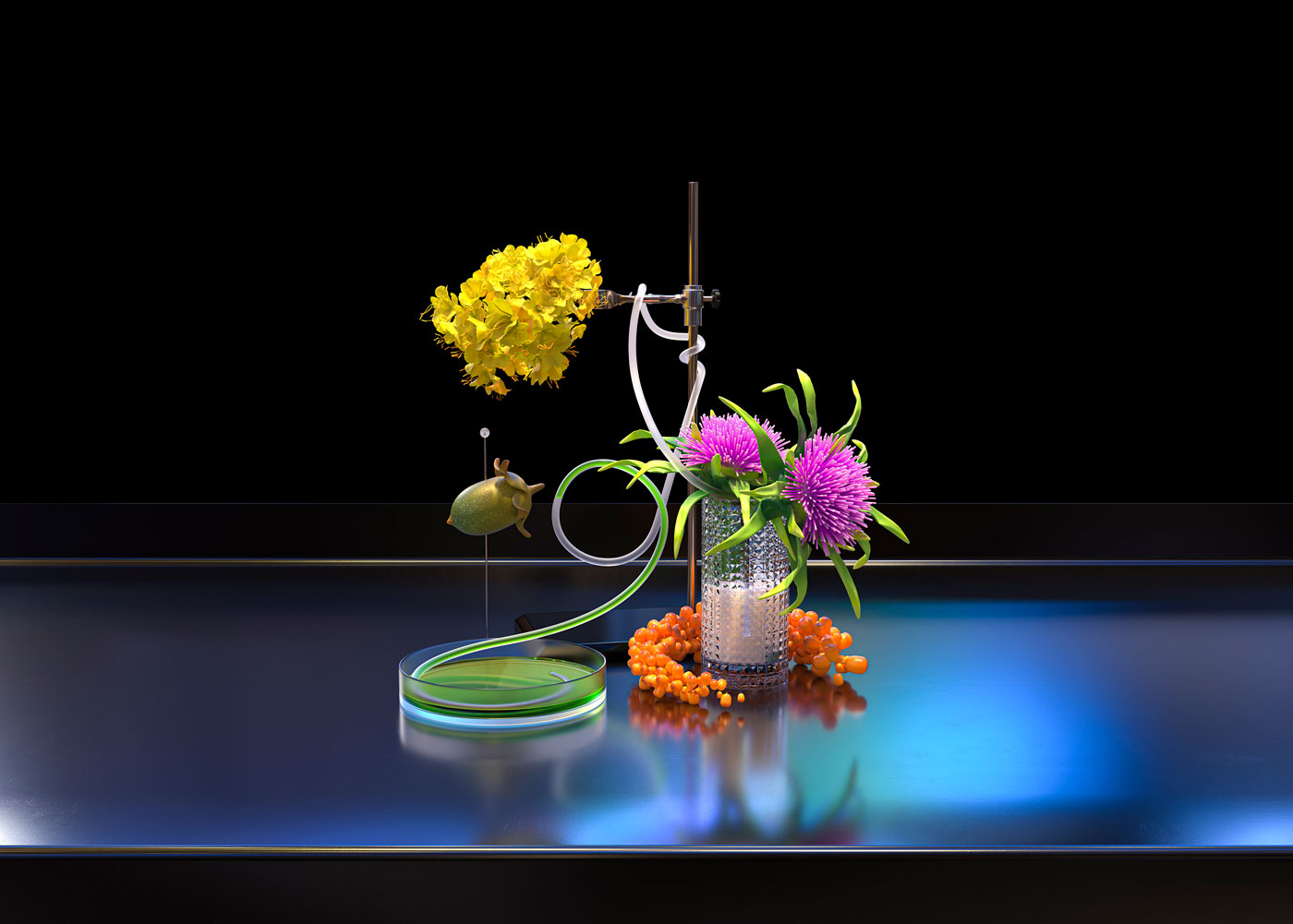 Your New PlantBased Diet SSENSE