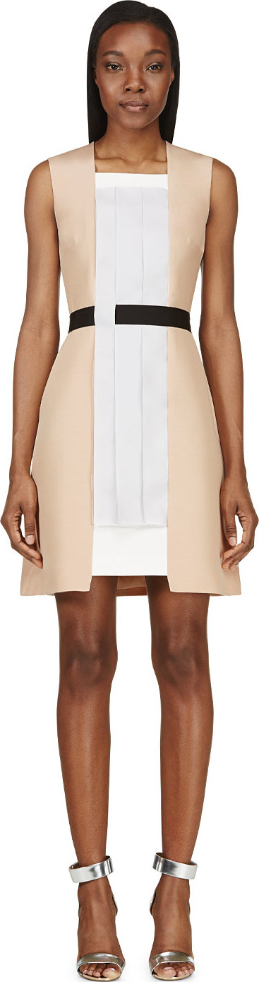 ROKSANDA ILINCIC blush pleated panel alvey dress