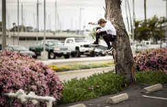 The rise to the skate scene in Malmö