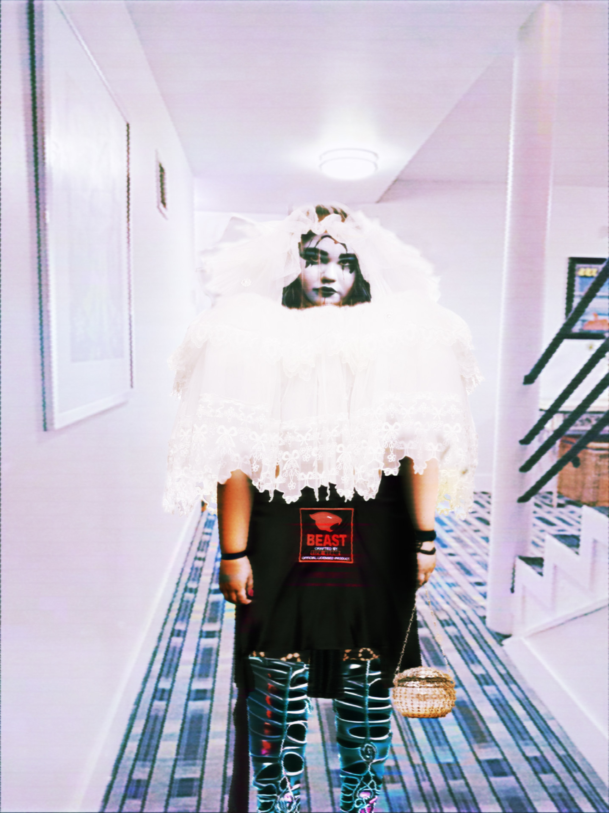 Introducing Harmony Korine