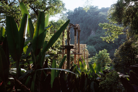 Las Pozas: Enter the Surreal Garden