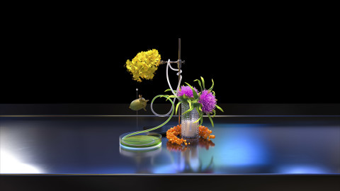 Your New Plant-Based Diet by SSENSE