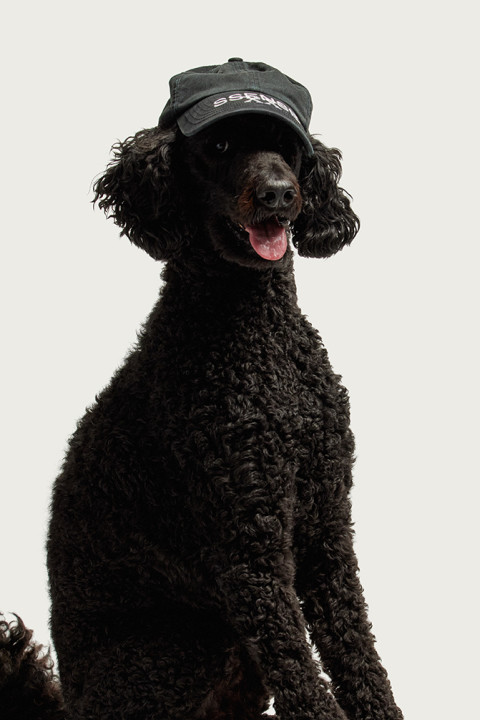 Meet 20 of the People (and One Dog) Who Make SSENSE Work