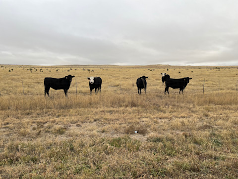 On the Road: Grail Hunting Across America