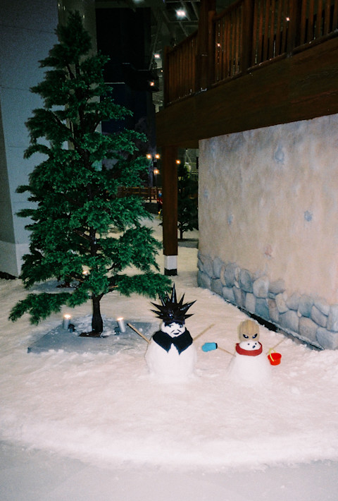 Dingyun Zhang Is All Puffed Up