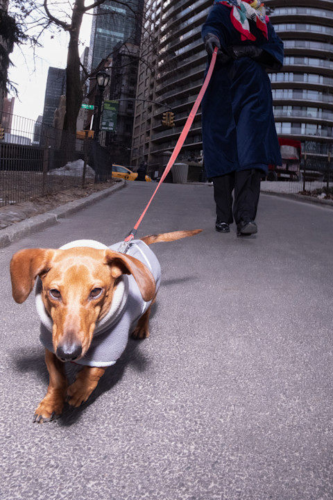 The Making of a Modern Fashion Critic