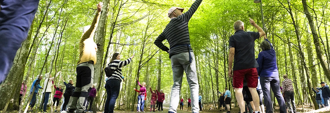 Gruppe mennesker som trener ute i skogen