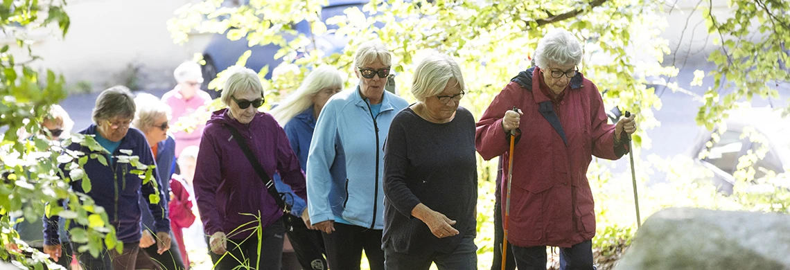 Mennesker som går sammen på tur i skogen
